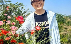 9612黄桃网站进入页面图片